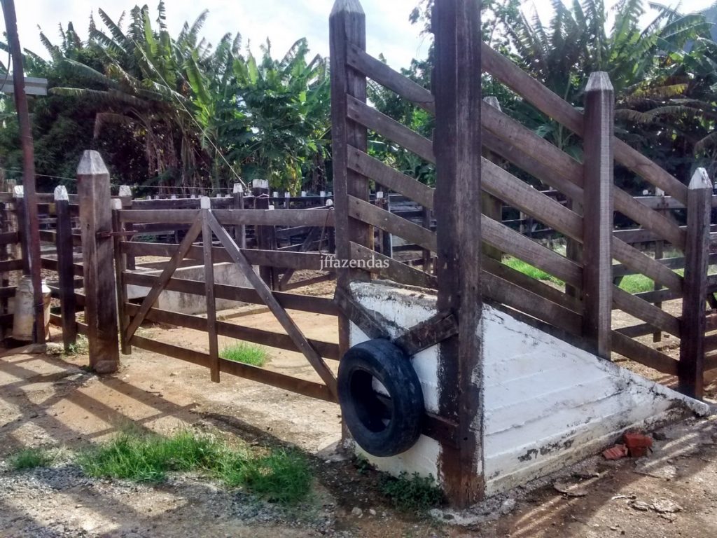 Fazenda em São João Nepomuceno – MG (Rochedo) – 238 hectares Fazenda em São João Nepomuceno – MG (Rochedo) – 238 hectares