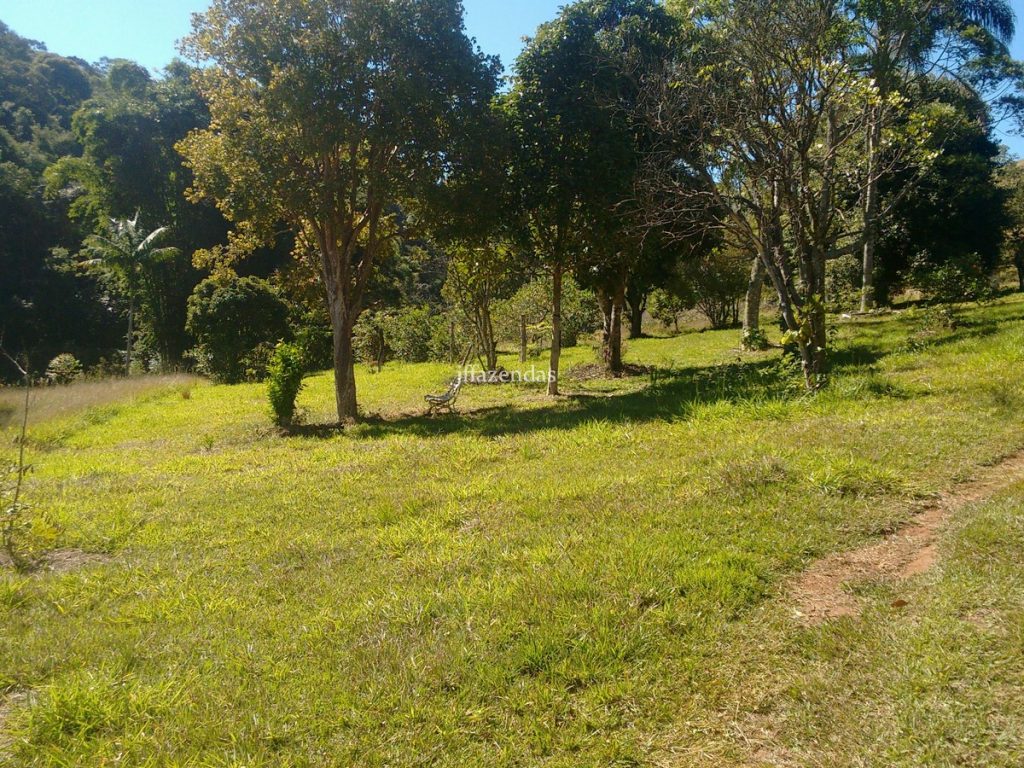 Sítio em Santa Barbara do Monte Verde/MG – 41,14 hectares Sítio em Santa Barbara do Monte Verde/MG – 41,14 hectares