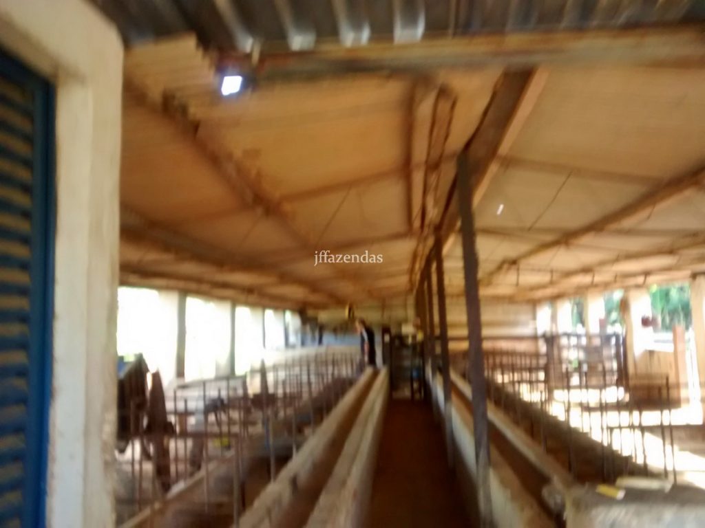 Fazenda em São João Nepomuceno – MG (Rochedo) – 238 hectares Fazenda em São João Nepomuceno – MG (Rochedo) – 238 hectares