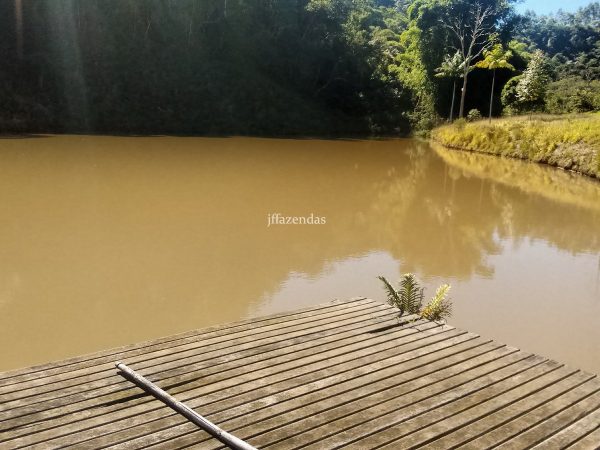 Sítio em Santa Barbara do Monte Verde/MG – 41,14 hectares