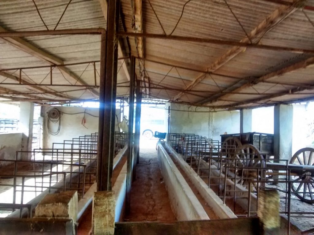 Fazenda em São João Nepomuceno – MG (Rochedo) – 238 hectares Fazenda em São João Nepomuceno – MG (Rochedo) – 238 hectares
