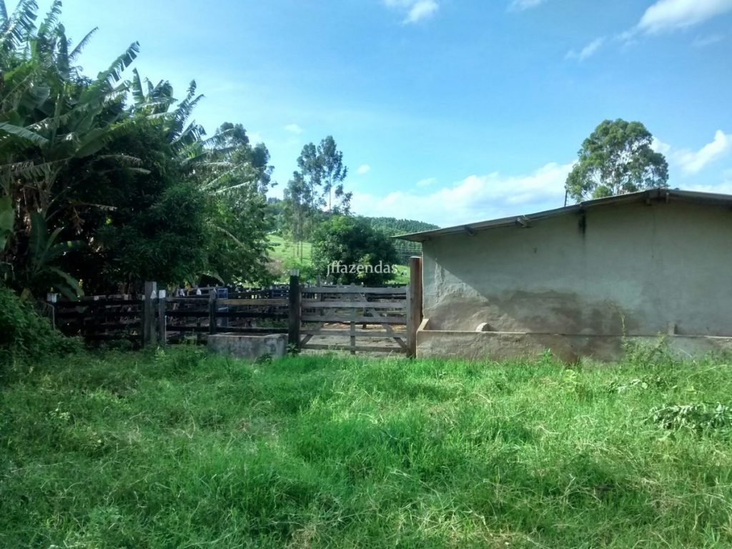 Fazenda em São João Nepomuceno – MG (Rochedo) – 238 hectares Fazenda em São João Nepomuceno – MG (Rochedo) – 238 hectares
