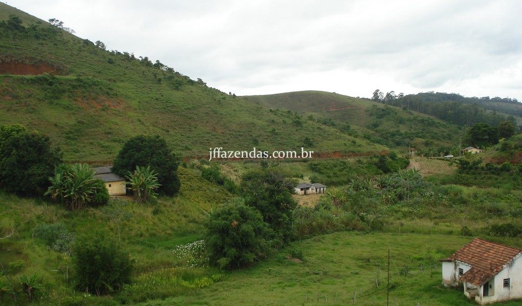 Sitio em Simão Pereira/MG – 10 hectares