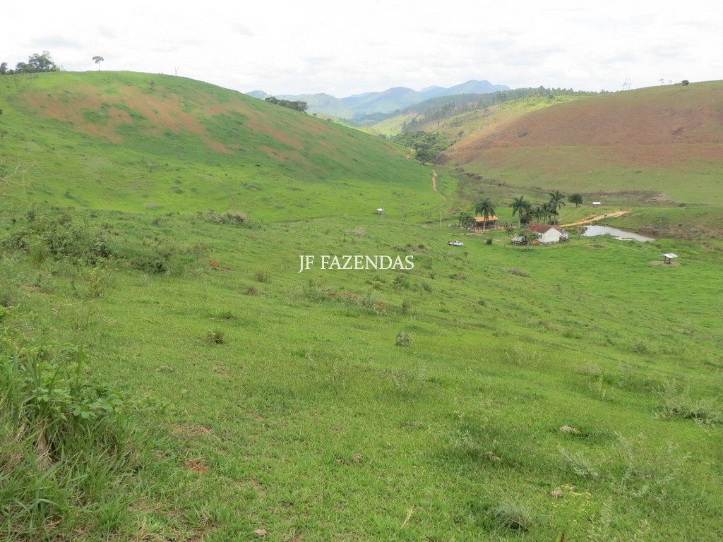 Fazenda em Simão Pereira -MG – 100 hectares Fazenda em Simão Pereira -MG – 100 hectares