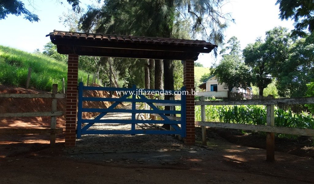 Sitio em Rio Novo – MG – 6.59 hectares