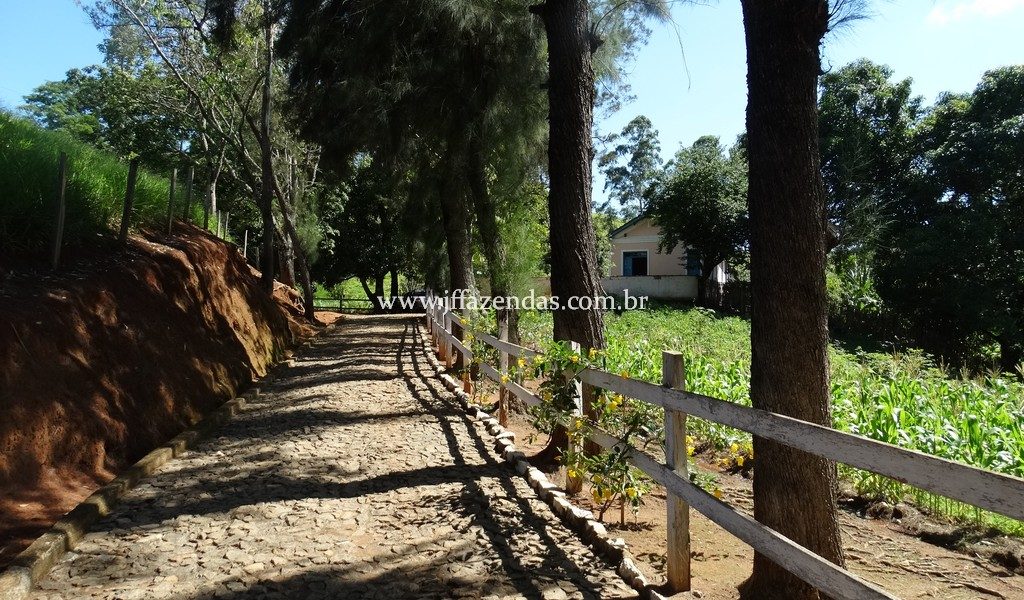 Sitio em Rio Novo – MG – 6.59 hectares