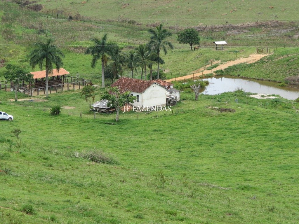 Fazenda em Simão Pereira -MG – 100 hectares Fazenda em Simão Pereira -MG – 100 hectares