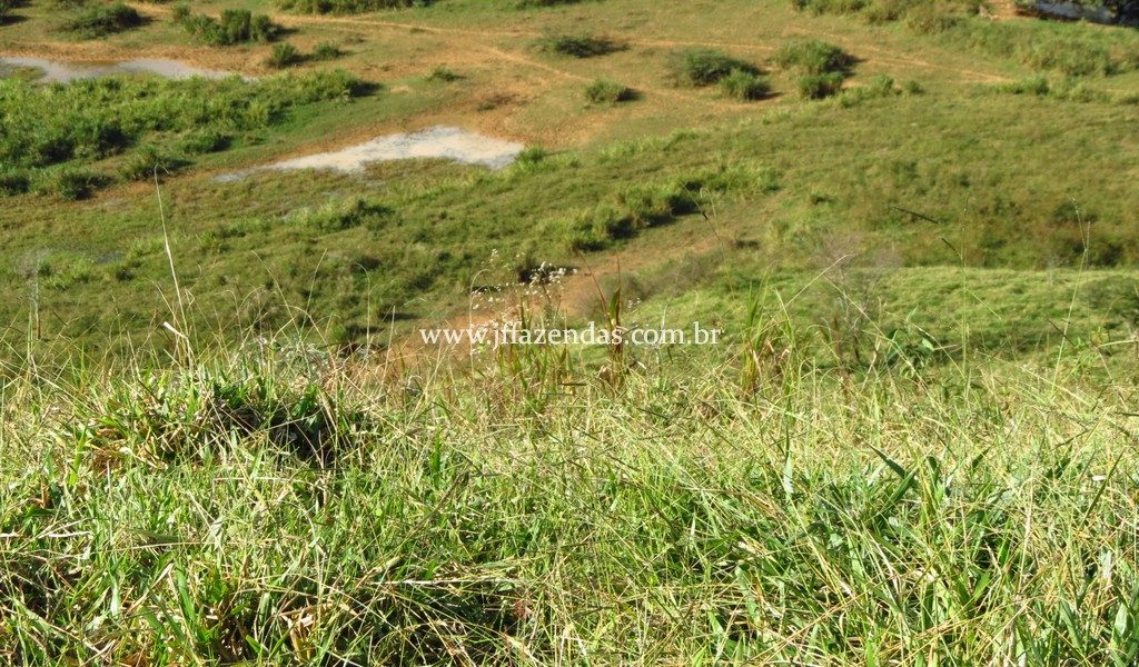Fazenda – 148 hectares – Bicas – MG Fazenda – 148 hectares – Bicas – MG