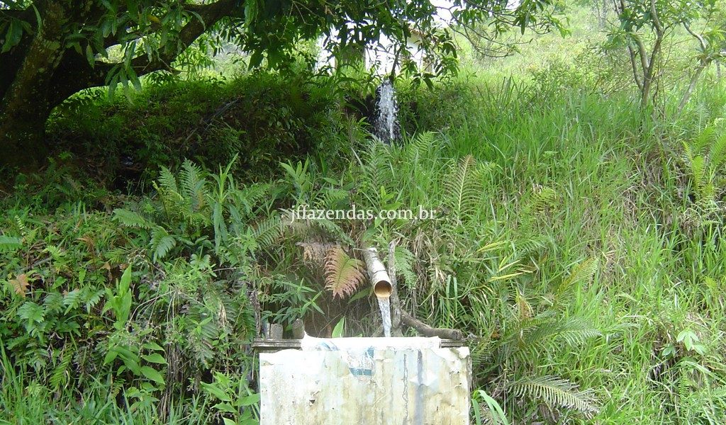 Fazenda em Santa Rita do Jacutinga – MG – 411 hectares Fazenda em Santa Rita do Jacutinga – MG – 411 hectares