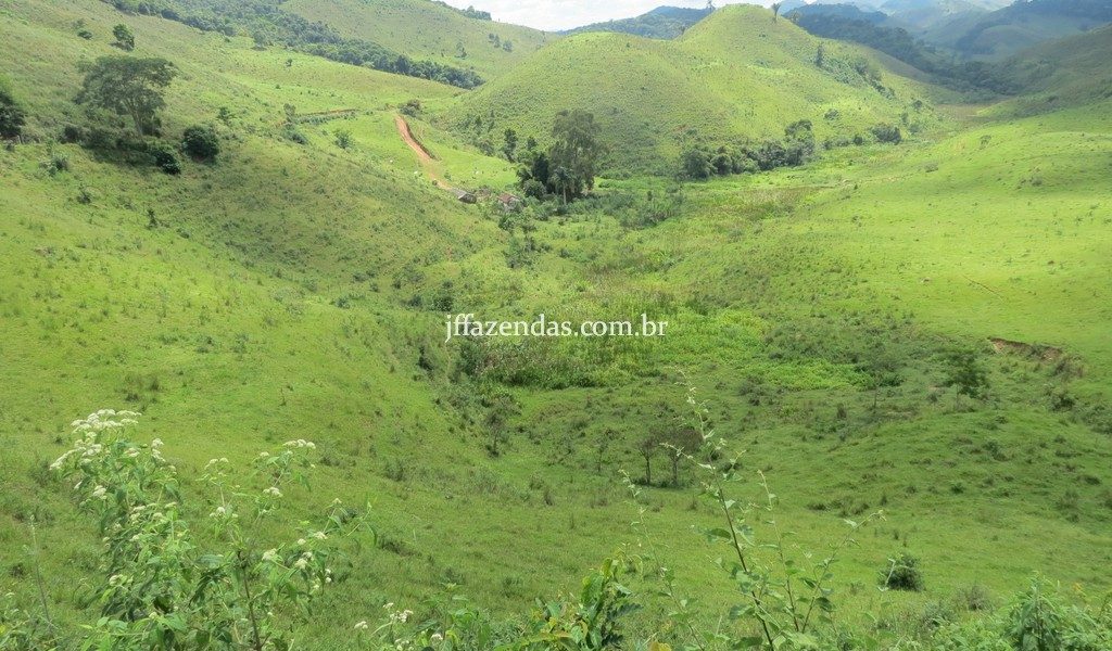 Fazenda em Juiz de Fora – MG – 114 hectares Fazenda em Juiz de Fora – MG – 114 hectares