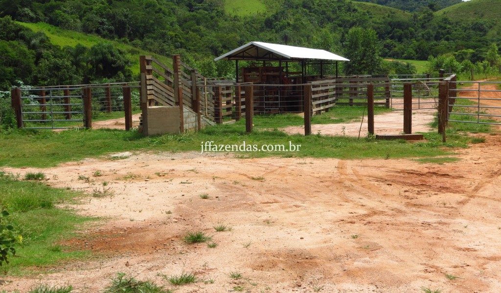Fazenda em Simão Pereira – MG – 250 hectares Fazenda em Simão Pereira – MG – 250 hectares