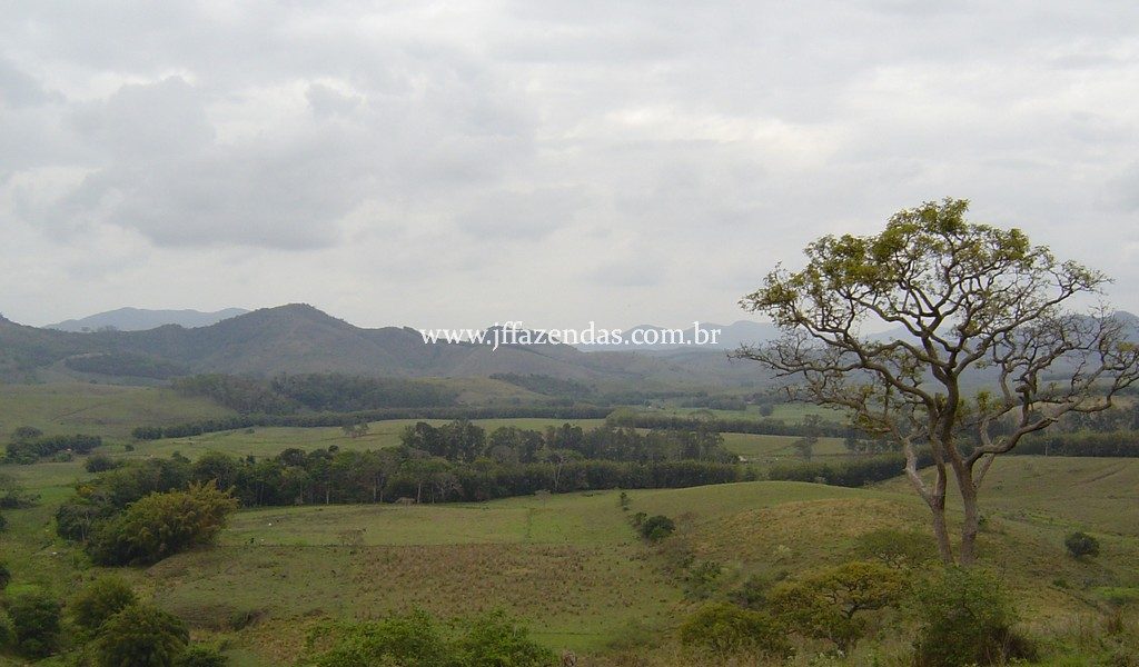 Fazenda em Bicas – MG – 320 hectares