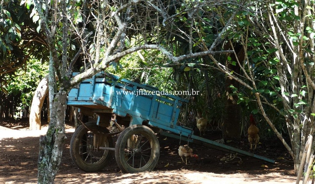 Sitio em Rio Novo – MG – 6.59 hectares