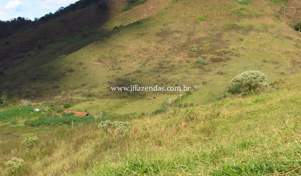 Fazenda – 148 hectares – Bicas – MG Fazenda – 148 hectares – Bicas – MG