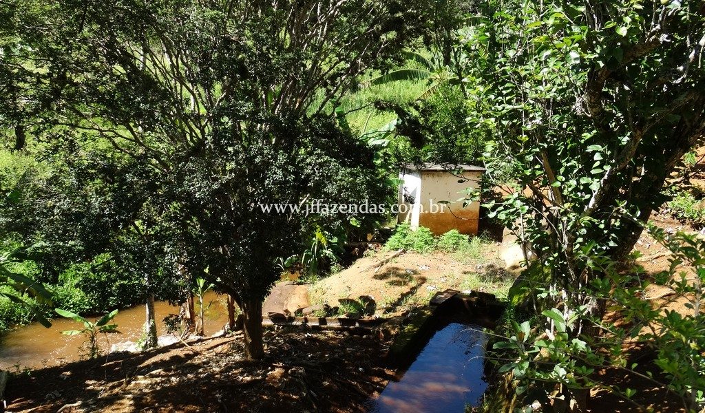 Sitio em Rio Novo – MG – 6.59 hectares