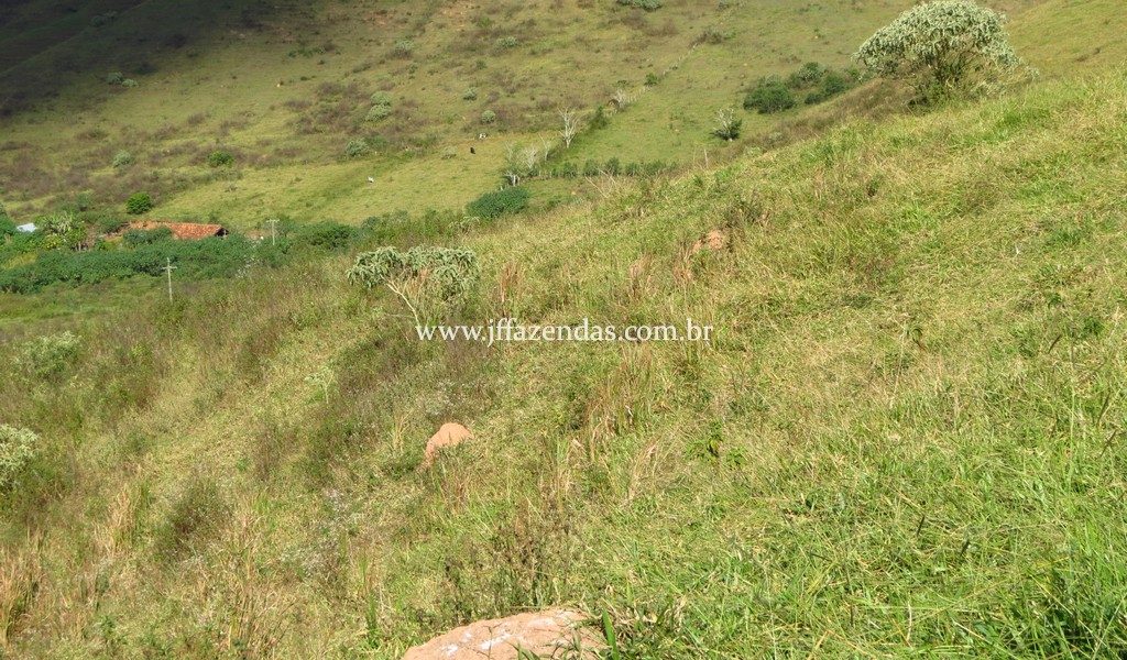 Fazenda – 148 hectares – Bicas – MG Fazenda – 148 hectares – Bicas – MG