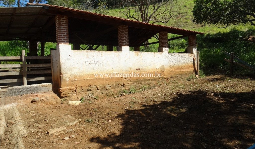 Sitio em Rio Novo – MG – 6.59 hectares