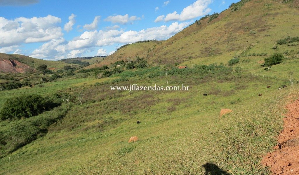 Fazenda – 148 hectares – Bicas – MG Fazenda – 148 hectares – Bicas – MG