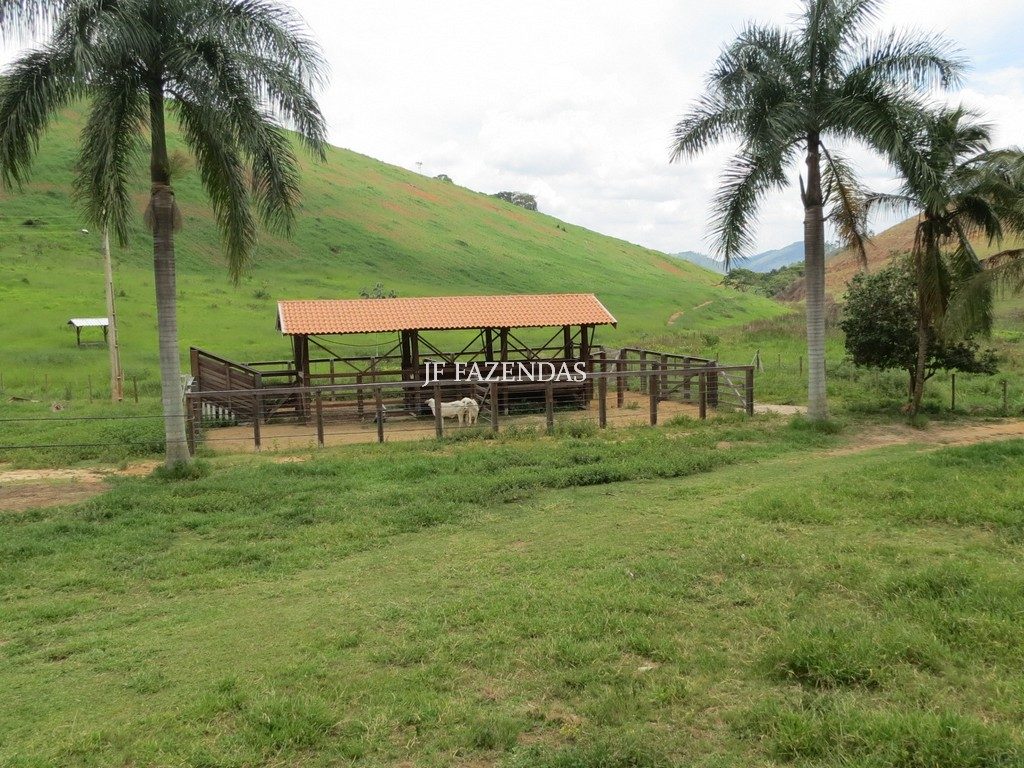 Fazenda em Simão Pereira -MG – 100 hectares Fazenda em Simão Pereira -MG – 100 hectares