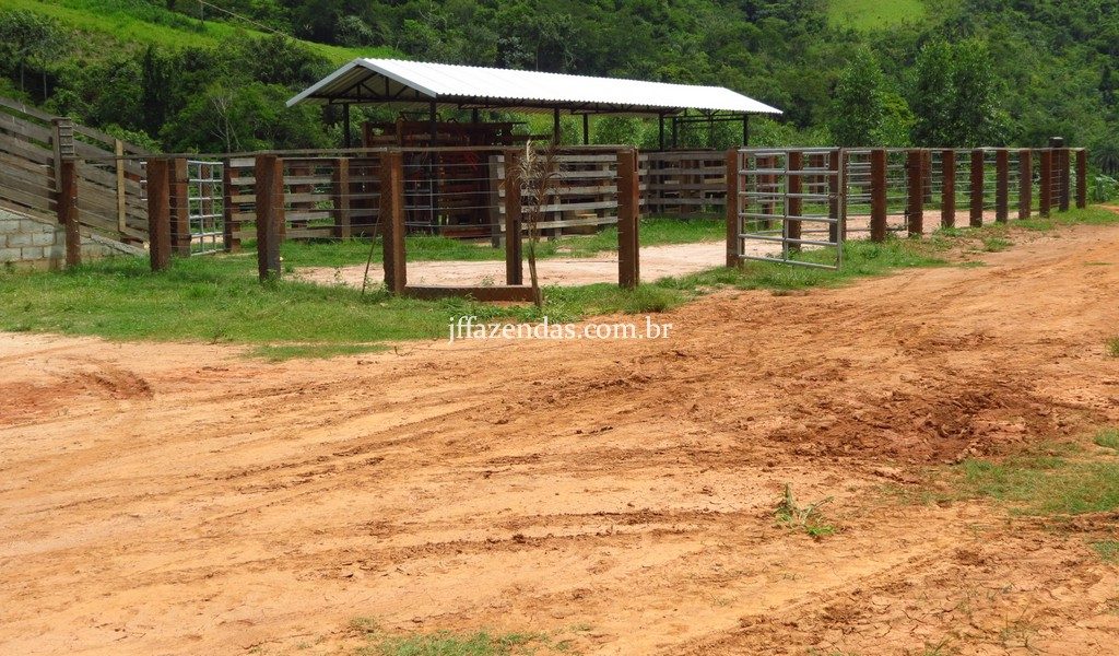 Fazenda em Simão Pereira – MG – 250 hectares Fazenda em Simão Pereira – MG – 250 hectares