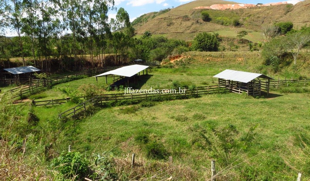 Fazenda em Belmiro Braga – MG – 117 hectares Fazenda em Belmiro Braga – MG – 117 hectares