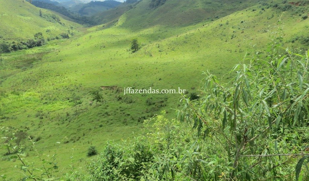 Fazenda em Juiz de Fora – MG – 114 hectares Fazenda em Juiz de Fora – MG – 114 hectares