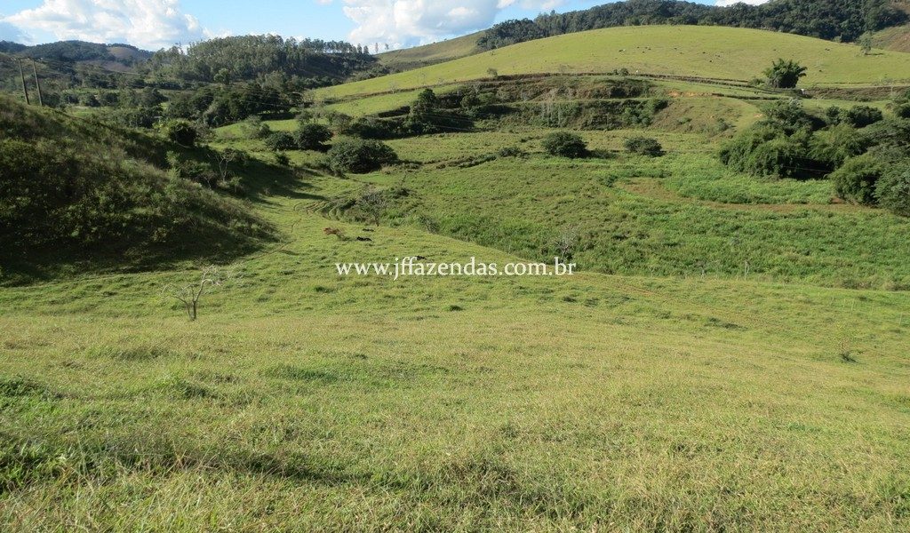 Fazenda – 148 hectares – Bicas – MG Fazenda – 148 hectares – Bicas – MG