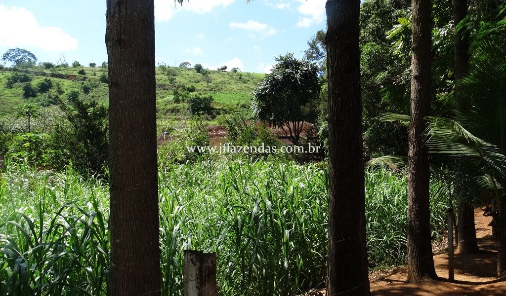 Sitio em Rio Novo – MG – 6.59 hectares