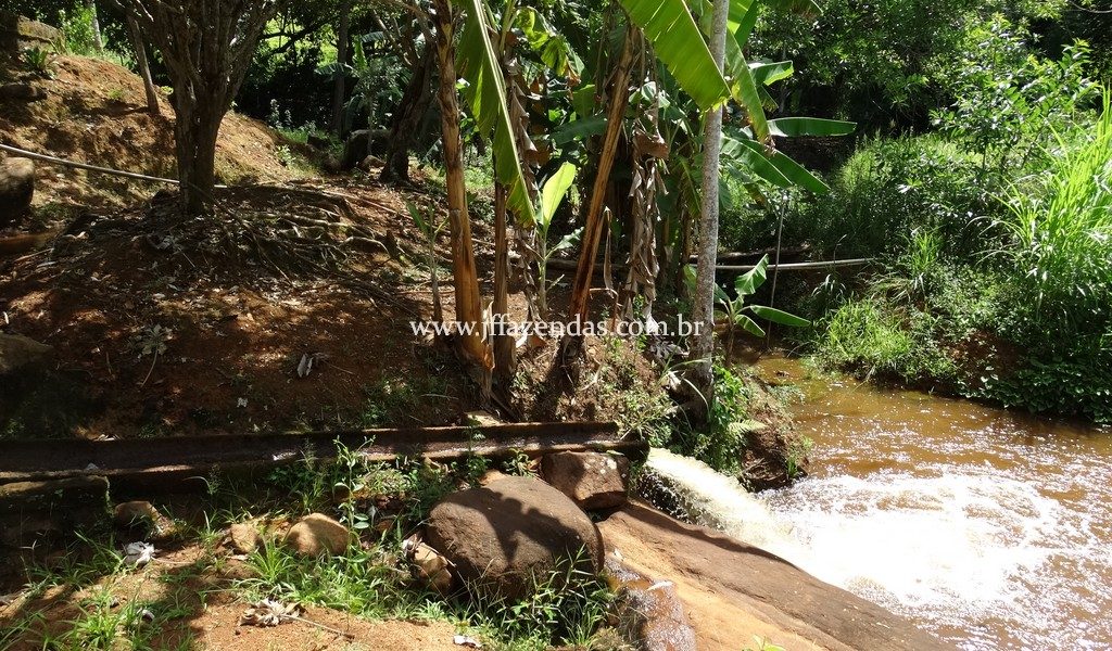Sitio em Rio Novo – MG – 6.59 hectares