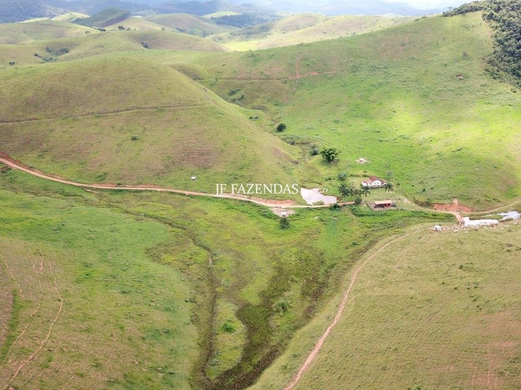 Fazenda em Simão Pereira -MG – 100 hectares Fazenda em Simão Pereira -MG – 100 hectares