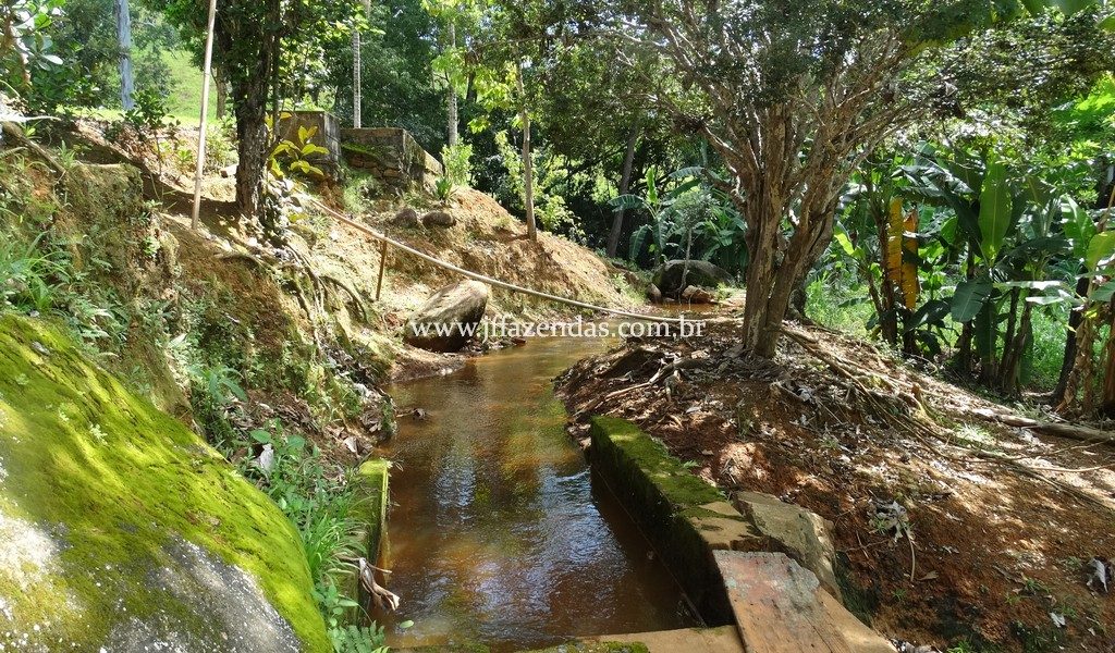 Sitio em Rio Novo – MG – 6.59 hectares