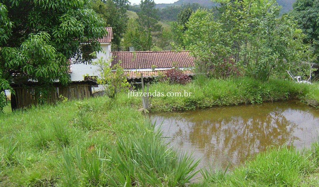Fazenda em Santa Rita do Jacutinga – MG – 411 hectares Fazenda em Santa Rita do Jacutinga – MG – 411 hectares