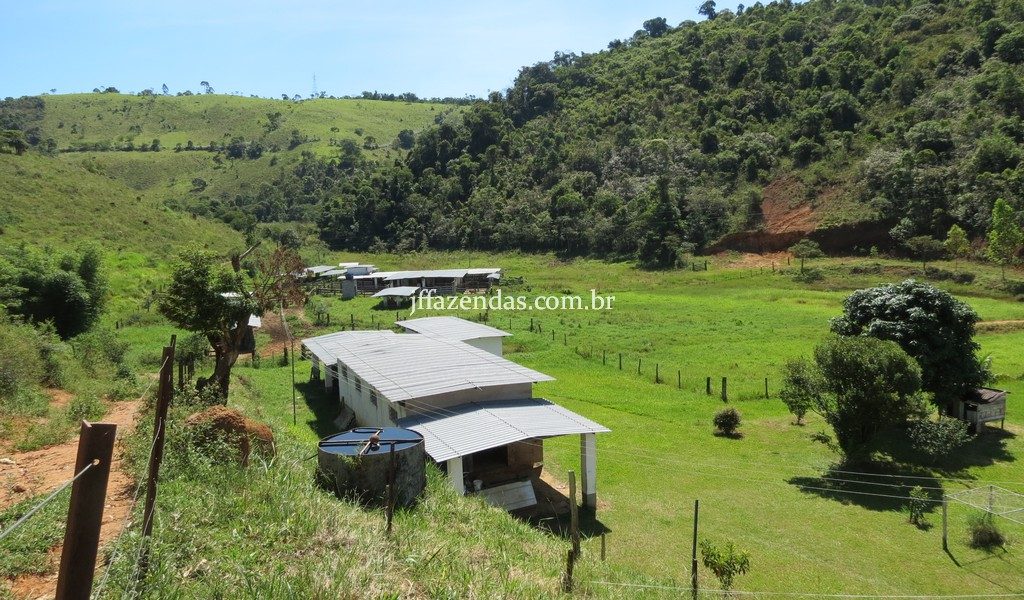 Fazenda em Torreões – Juiz de Fora/MG – 110 hectares Fazenda em Torreões – Juiz de Fora/MG – 110 hectares