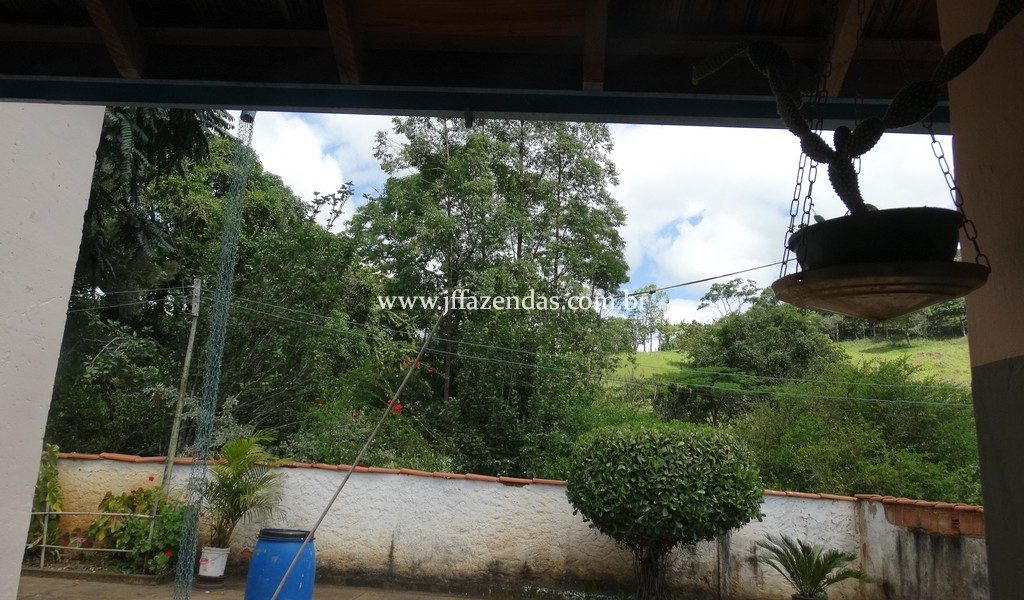 Sitio em Rio Novo – MG – 6.59 hectares