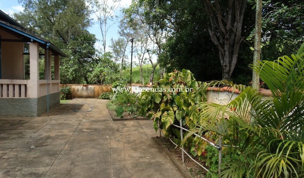 Sitio em Rio Novo – MG – 6.59 hectares