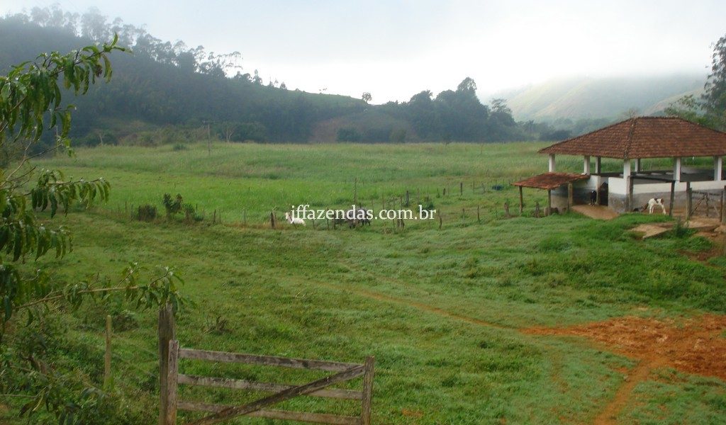 Fazenda em Rio Preto – MG – 240 hectares Fazenda em Rio Preto – MG – 240 hectares