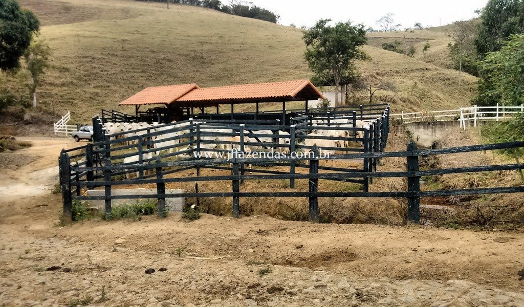 Fazenda em Juiz de Fora – MG – 82,2 hectares Fazenda em Juiz de Fora – MG – 82,2 hectares