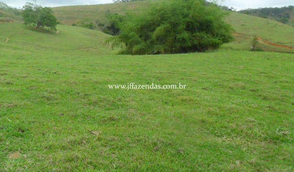 Fazenda em Leopoldina – MG – 1563,32 hectares Fazenda em Leopoldina – MG – 1563,32 hectares