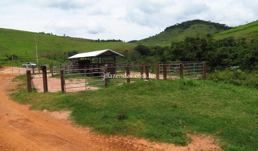 Fazenda em Simão Pereira – MG – 250 hectares Fazenda em Simão Pereira – MG – 250 hectares