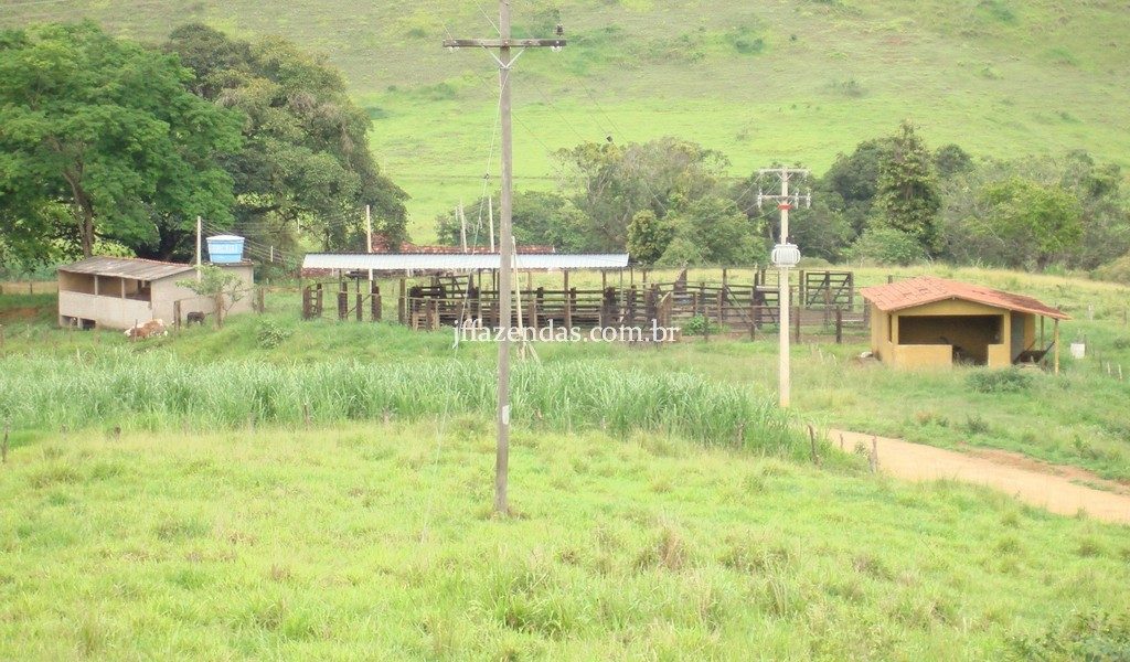 Fazenda em Comendador Levy Gasparian/RJ – 275 hectares
