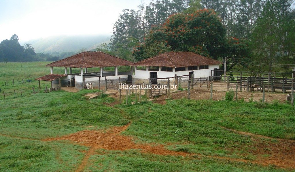 Fazenda em Rio Preto – MG – 240 hectares Fazenda em Rio Preto – MG – 240 hectares