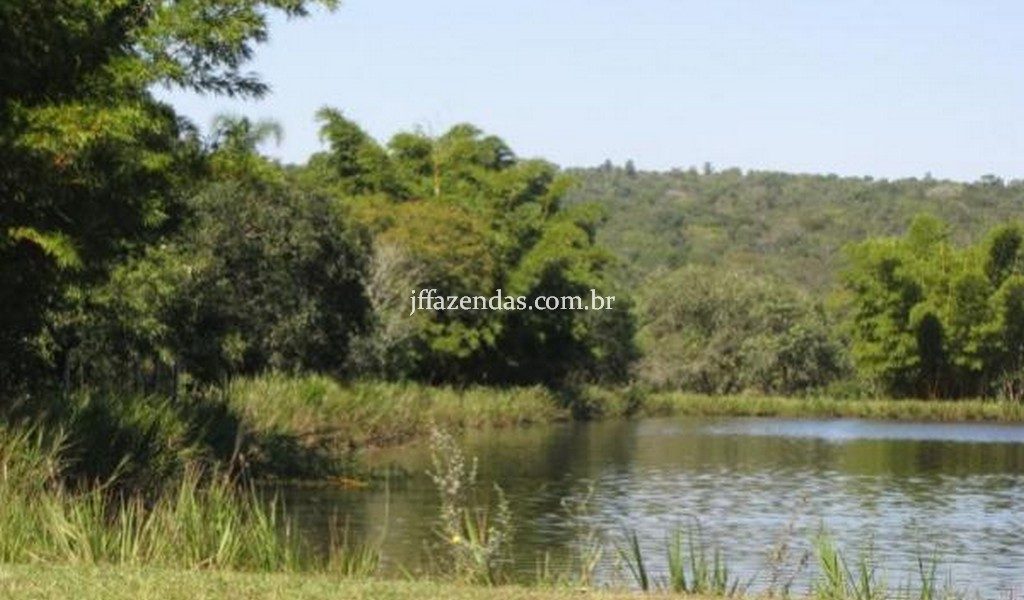 Fazenda de luxo em Avaré/SP – 216 hectares Fazenda de luxo em Avaré/SP – 216 hectares