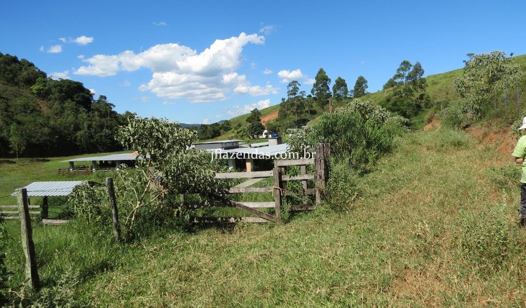 Fazenda em Torreões – Juiz de Fora/MG – 110 hectares Fazenda em Torreões – Juiz de Fora/MG – 110 hectares