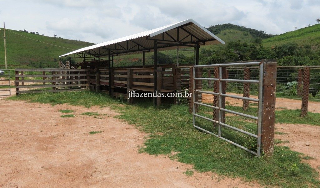 Fazenda em Simão Pereira – MG – 250 hectares Fazenda em Simão Pereira – MG – 250 hectares