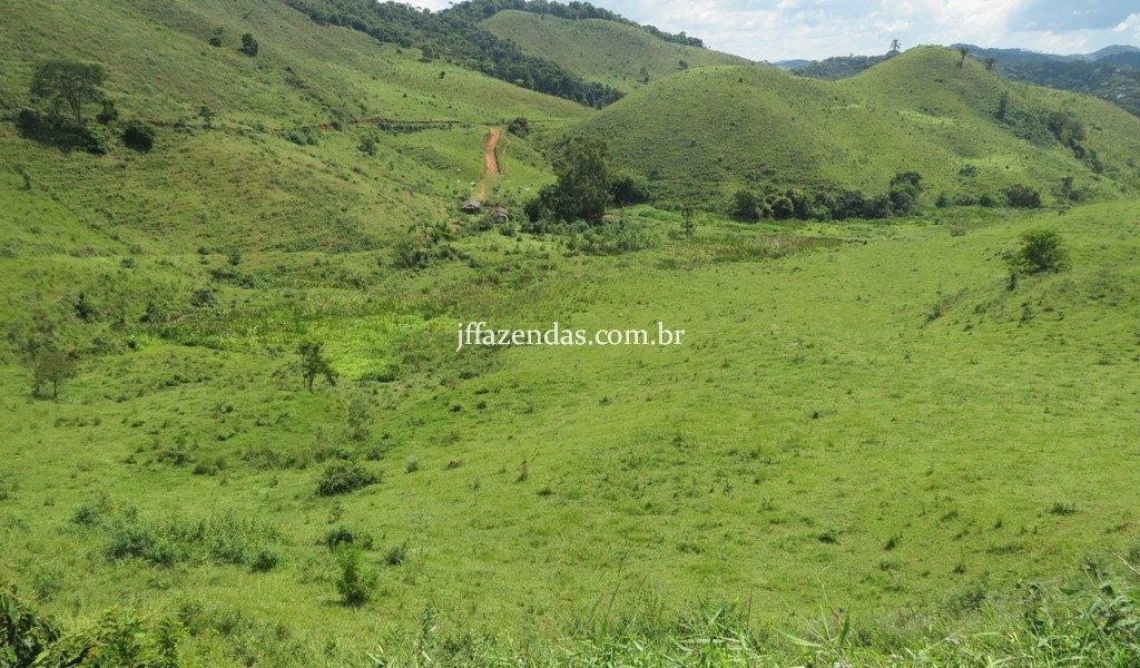 Fazenda em Juiz de Fora – MG – 114 hectares Fazenda em Juiz de Fora – MG – 114 hectares