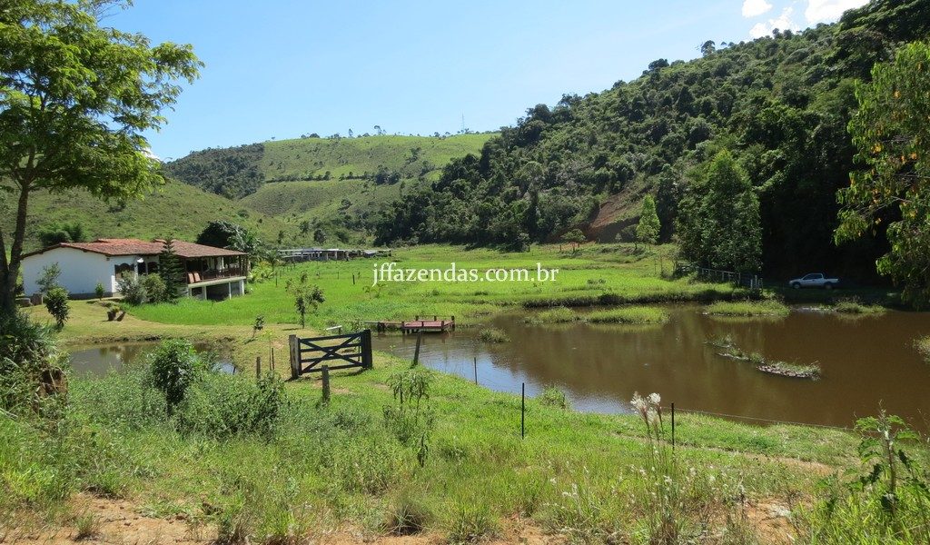 Fazenda em Torreões – Juiz de Fora/MG – 110 hectares Fazenda em Torreões – Juiz de Fora/MG – 110 hectares