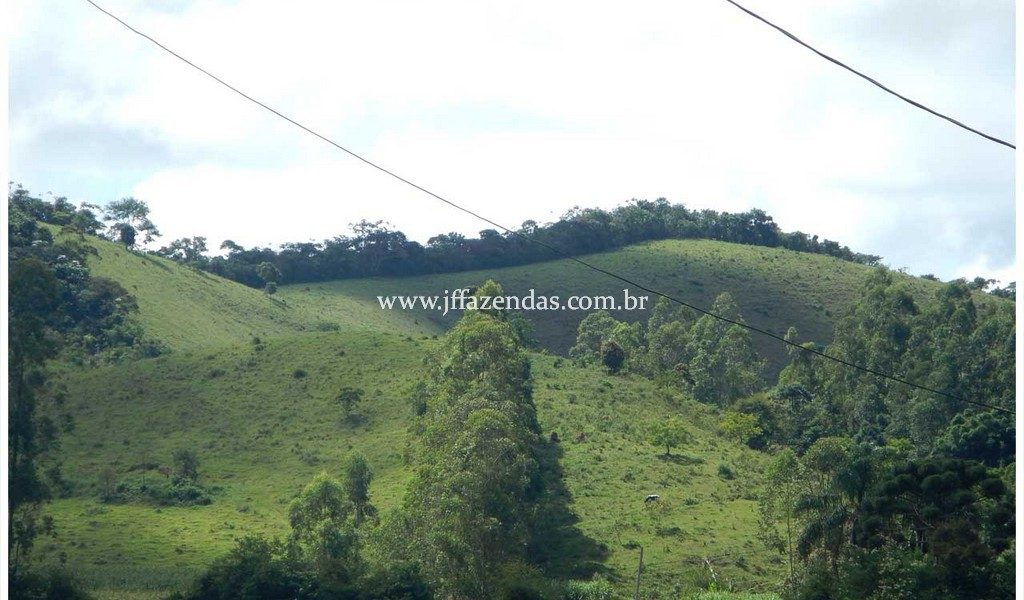 Fazenda – 180 hectares – Lima Duarte – MG Fazenda – 180 hectares – Lima Duarte – MG