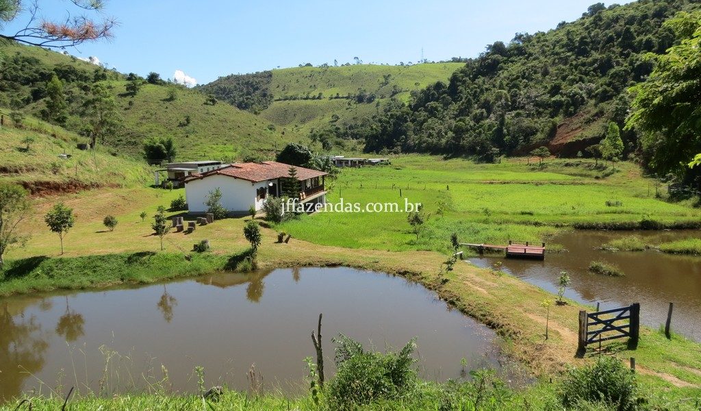 Fazenda em Torreões – Juiz de Fora/MG – 110 hectares Fazenda em Torreões – Juiz de Fora/MG – 110 hectares
