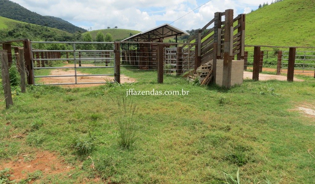 Fazenda em Simão Pereira – MG – 250 hectares Fazenda em Simão Pereira – MG – 250 hectares