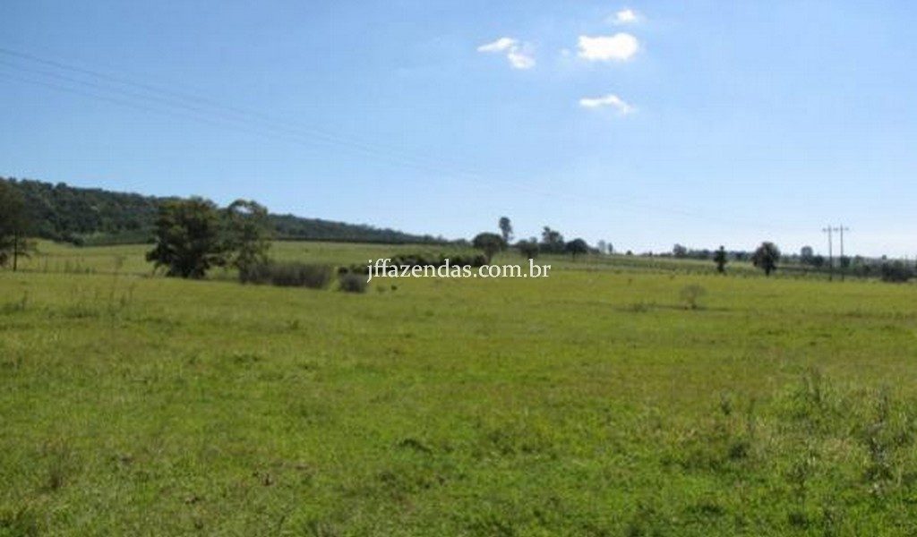 Fazenda de luxo em Avaré/SP – 216 hectares Fazenda de luxo em Avaré/SP – 216 hectares